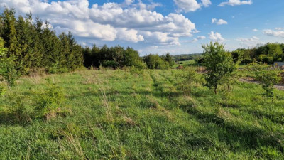 Działka budowlana - Sadowie  -
Śląskie Zdjęcie nr 2