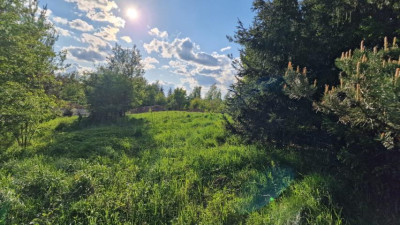 Działka budowlana - Sadowie  -
Śląskie Zdjęcie nr 5