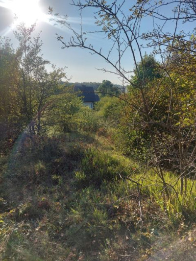 Działka budowlana - Twardowice  -
Śląskie Zdjęcie nr 2