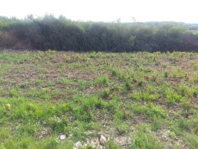 Działka budowlana - Twardowice  -
Śląskie Zdjęcie nr 3