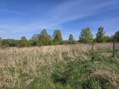 Działka budowlana - Będzin Grodziec  -
Śląskie Zdjęcie nr 2