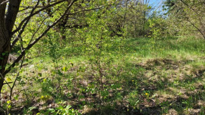 Działka budowlana - Zagórze  -
Śląskie Zdjęcie nr 2