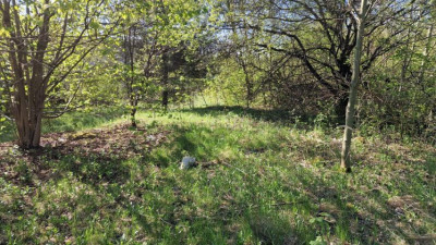 Działka budowlana - Zagórze  -
Śląskie Zdjęcie nr 3
