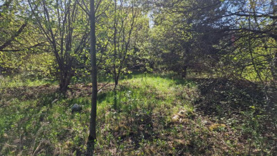 Działka budowlana - Zagórze  -
Śląskie Zdjęcie nr 4