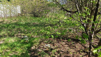 Działka budowlana - Zagórze  -
Śląskie Zdjęcie nr 6
