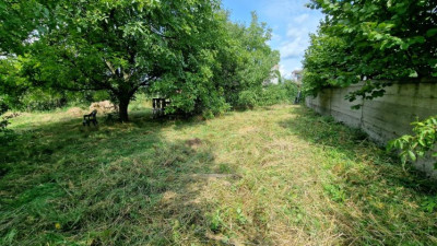 Działka rolno-budowlana - Sadowie  -
Śląskie Zdjęcie nr 2