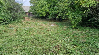 Działka rolno-budowlana - Sadowie  -
Śląskie Zdjęcie nr 4