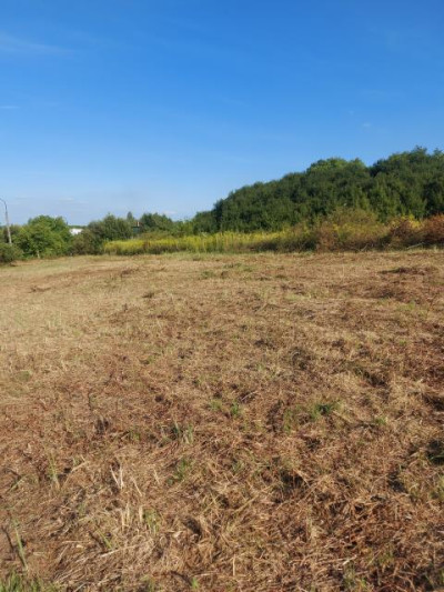 Działka budowlana - Sarnów  -
Śląskie Zdjęcie nr 2