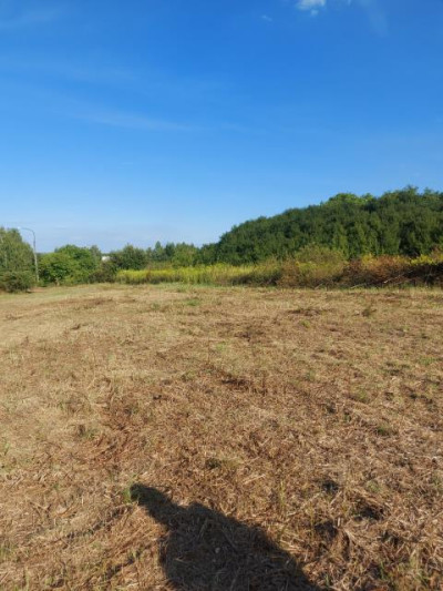 Działka budowlana - Sarnów  -
Śląskie Zdjęcie nr 3