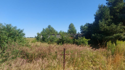 Działka rolno-budowlana - Wojsławice  -
Śląskie Zdjęcie nr 2