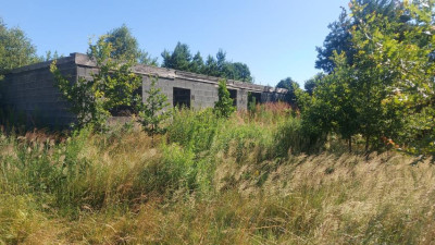 Działka rolno-budowlana - Wojsławice  -
Śląskie Zdjęcie nr 3
