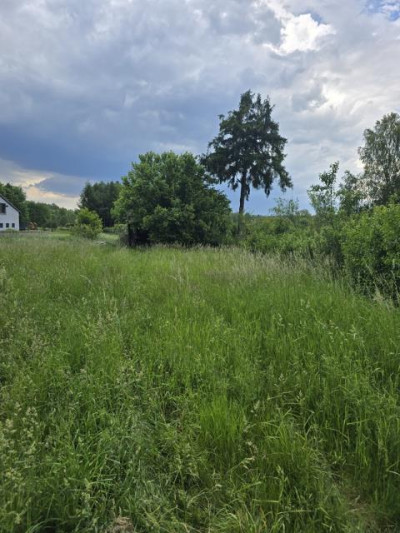 Działka rolno-budowlana - Zendek  -
Śląskie Zdjęcie nr 2