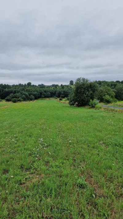 Działka budowlana - Sadowie  -
Śląskie Zdjęcie nr 5