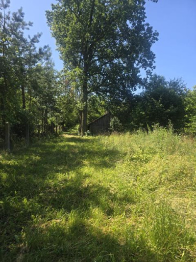 Działka rolno-budowlana - Siemonia  -
Śląskie Zdjęcie nr 4