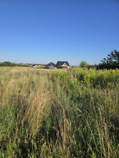 Działka budowlana - Toporowice  -
Śląskie Zdjęcie nr 4