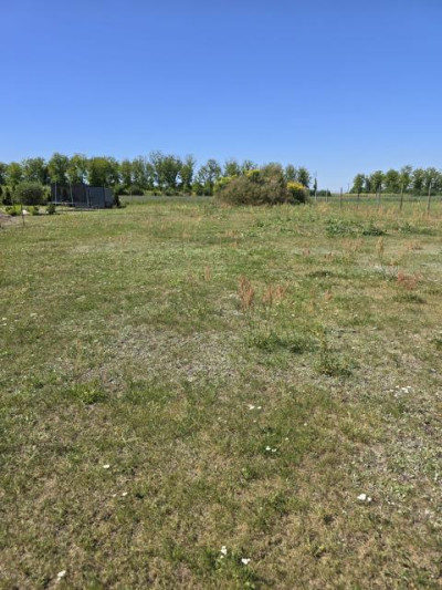 Działka budowlana - Ożarowice  -
Śląskie Zdjęcie nr 4