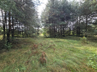 Działka rolno-budowlana - Ożarowice  - Śląskie