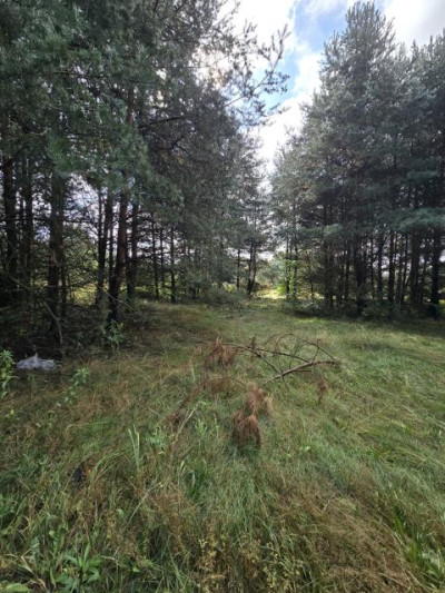 Działka rolno-budowlana - Ożarowice  -
Śląskie Zdjęcie nr 2