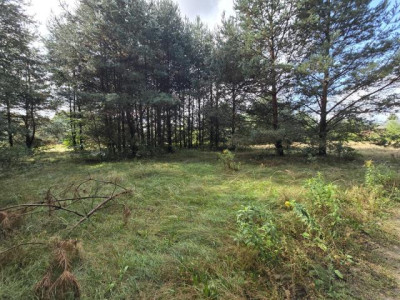Działka rolno-budowlana - Ożarowice  -
Śląskie Zdjęcie nr 3