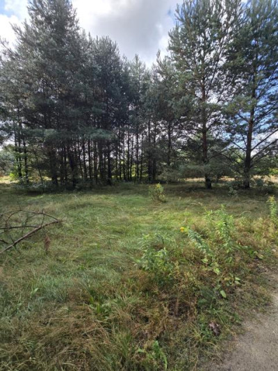 Działka rolno-budowlana - Ożarowice  -
Śląskie Zdjęcie nr 6