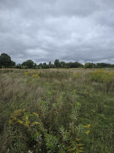 Działka budowlana - Pyrzowice  -
Śląskie Zdjęcie nr 2