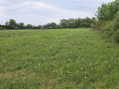 Działka budowlana - Myszkowice  -
Śląskie Zdjęcie nr 5