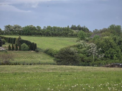 Działka budowlana - Myszkowice  -
Śląskie Zdjęcie nr 8