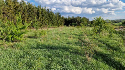 Działka budowlana - Sadowie  - Śląskie