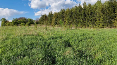 Działka budowlana - Sadowie  -
Śląskie Zdjęcie nr 5