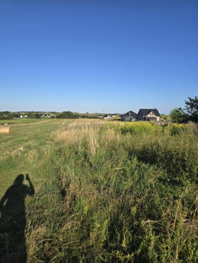Działka budowlana - Toporowice  -
Śląskie Zdjęcie nr 2