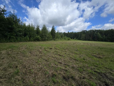 Działka rolno-budowlana - Łosień  - Śląskie