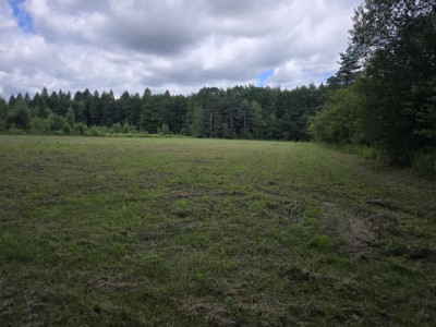 Działka rolno-budowlana - Łosień  -
Śląskie Zdjęcie nr 2