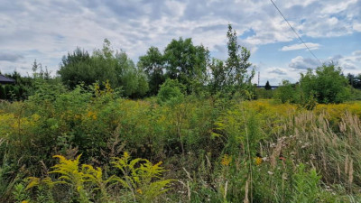 Działka budowlana - Grodków  -
Śląskie Zdjęcie nr 5