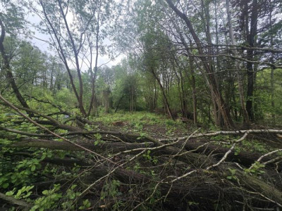 Działka budowlana - Będzin Łagisza  - Śląskie
