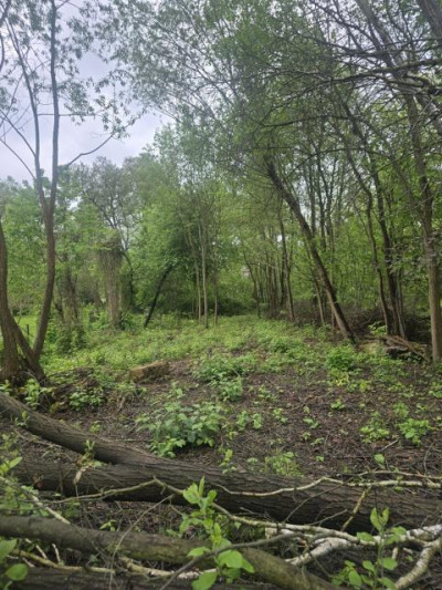 Działka budowlana - Będzin Łagisza  -
Śląskie Zdjęcie nr 3