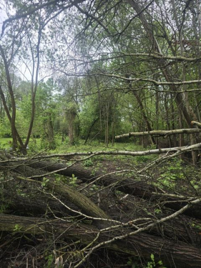 Działka budowlana - Będzin Łagisza  -
Śląskie Zdjęcie nr 4
