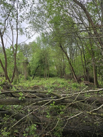Działka budowlana - Będzin Łagisza  -
Śląskie Zdjęcie nr 5