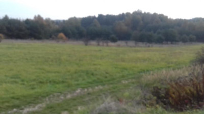 Działka rolna - Sadowie   - Śląskie