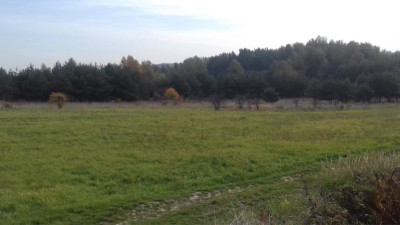 Działka rolna - Sadowie   -
Śląskie Zdjęcie nr 2