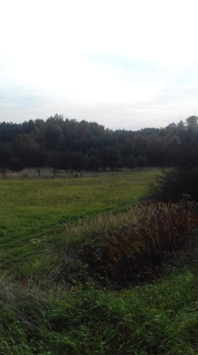 Działka rolna - Sadowie   -
Śląskie Zdjęcie nr 3