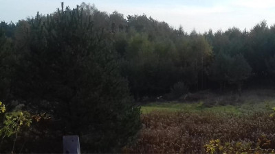 Działka rolna - Sadowie   -
Śląskie Zdjęcie nr 4