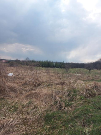 Działka rolno-budowlana - Chruszczobród   -
Śląskie Zdjęcie nr 2