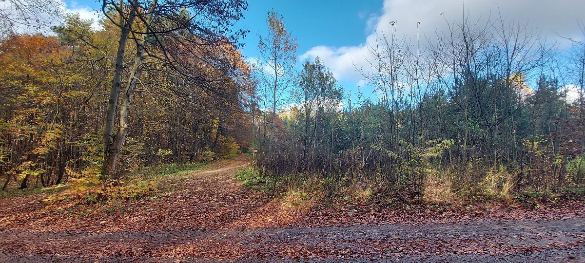 Działka rolna - Trzebiesławice  -
Śląskie Zdjęcie nr 1