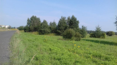 Działka inwestycyjna - Niegowoniczki   - Śląskie