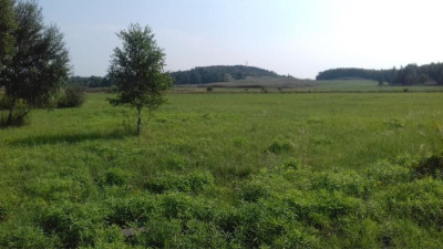 Działka inwestycyjna - Niegowoniczki   -
Śląskie Zdjęcie nr 2