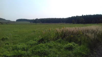 Działka inwestycyjna - Niegowoniczki   -
Śląskie Zdjęcie nr 3