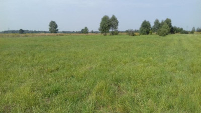 Działka inwestycyjna - Niegowoniczki   -
Śląskie Zdjęcie nr 5