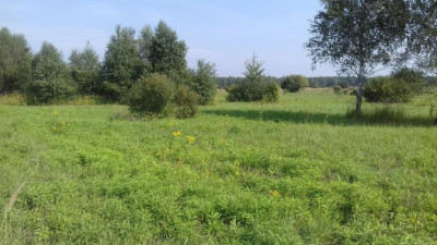 Działka inwestycyjna - Niegowoniczki   -
Śląskie Zdjęcie nr 6