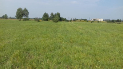 Działka inwestycyjna - Niegowoniczki   -
Śląskie Zdjęcie nr 7