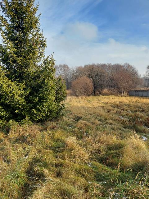 Działka budowlana - Chruszczobród   -
Śląskie Zdjęcie nr 1